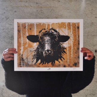 Black sheep – Fineart print